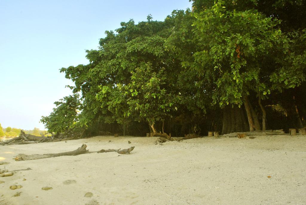 Hotel Sea Shell Neil Lakshmanpur Exterior foto